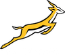 Springboks Rugby Union Logo (Color)