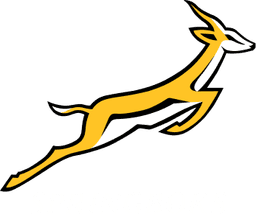 Springboks Rugby Union Logo (Color)
