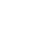 Springboks Rugby Union Logo (Black and White)