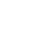 Springboks Rugby Union Logo (Black and White)